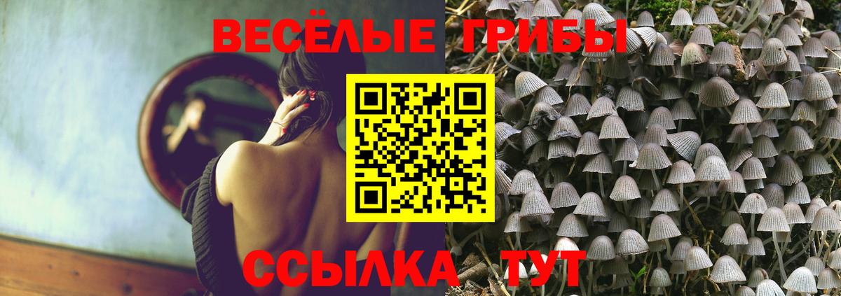 магазин    Галлюциногенные грибы ЛСД  Новодвинск  Вход с VPN  Псилоцибиновые грибы Psilocybe 